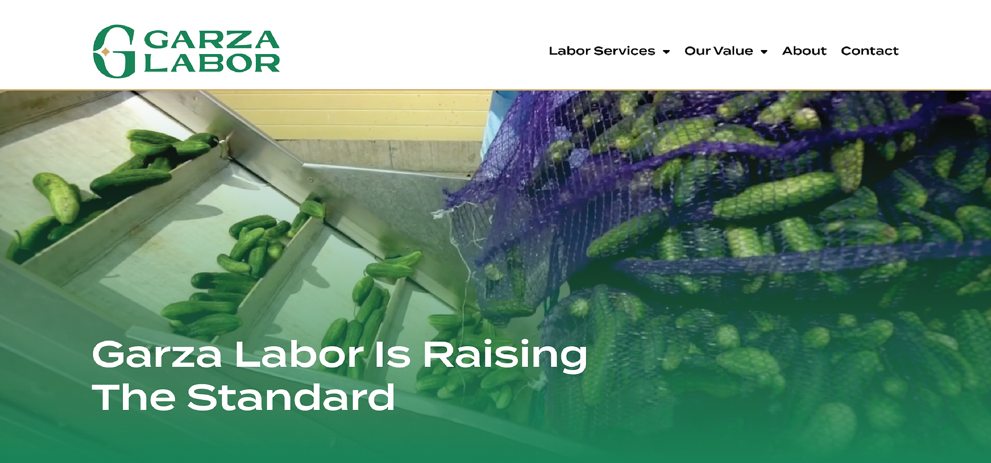 Garza Labor Web